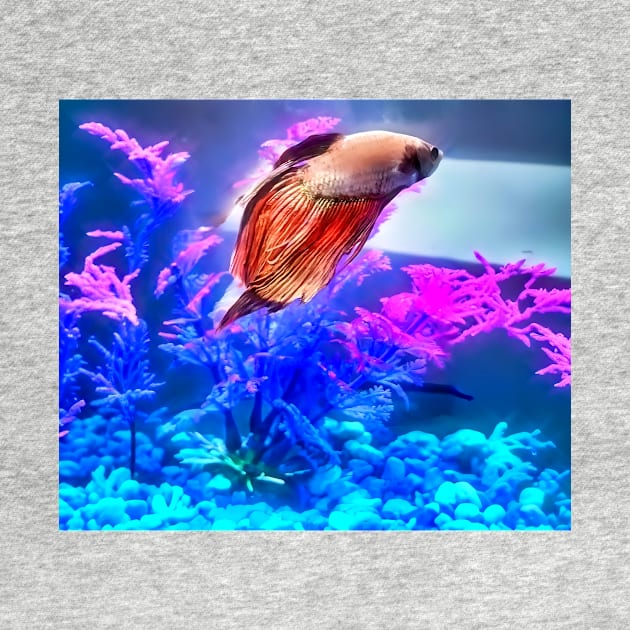 Beautiful Beta Fish by PandLCreations